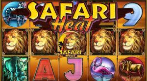 safari heat