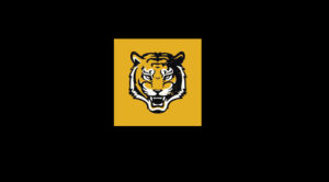 Tiger Lair GamesDunia Permainan yang Mengasyikkan