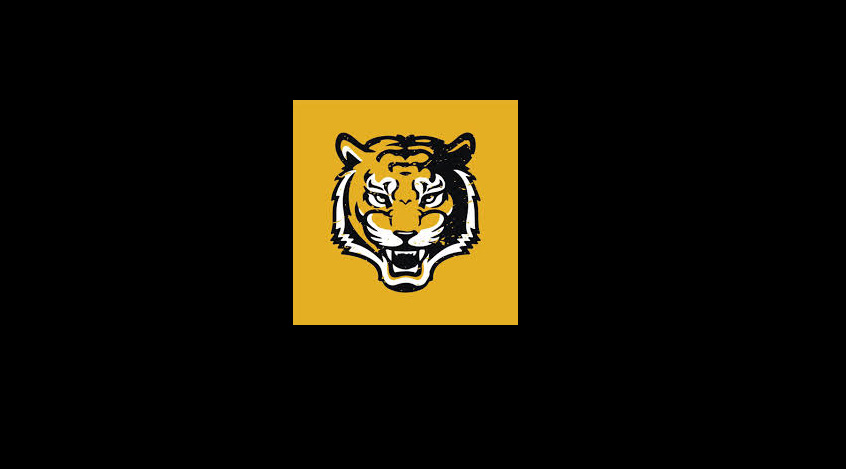 Tiger Lair GamesDunia Permainan yang Mengasyikkan
