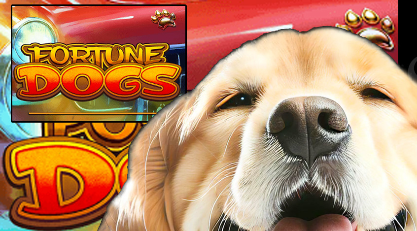 Fortune Dogs